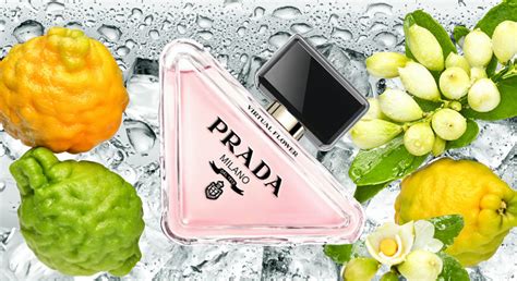 prada floral|Prada floral perfume.